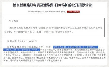全国每晚都免费开的路灯，是谁在承担电费？
