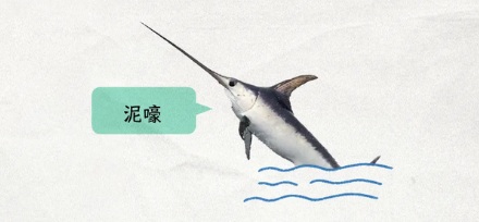 为什么在船上上厕所，要冒生命危险？