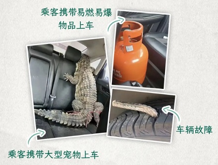 网约车司机为啥要问你四只蛤蟆几条腿，答错了还不让上车？