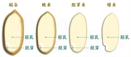 买到的大米为什么总是缺一角？