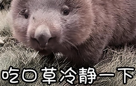 食肉动物为何突然「吃素」？