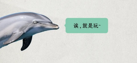 为什么海豚总是喜欢给船带路？