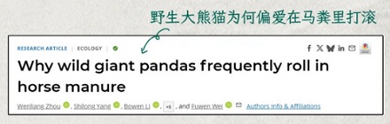 为什么秦岭的大熊猫冬天一看见马粪就兴奋？