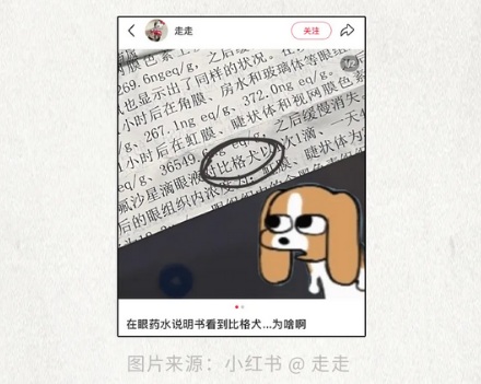 为什么有的药品说明书里会出现比格犬？