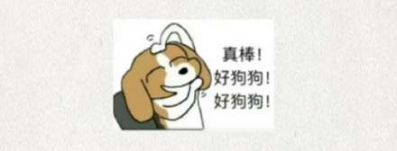 为什么有的药品说明书里会出现比格犬？