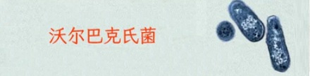 寄生虫会被寄生虫寄生吗？