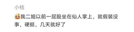 扎进皮肤里的各种刺，不管它们会怎么样？