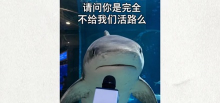 海洋馆里的海水是从海里捞了再运过去的吗？